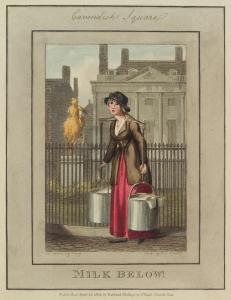 Description of the plates, representing the itinerant traders of London in their ordinary costume : with notices of the remarkable places given in the background.