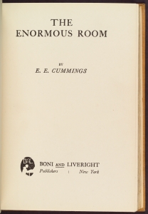 The enormous room