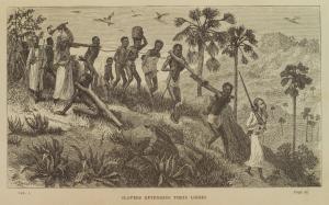 The last journals of David Livingstone in Central Africa, from 1865 to his death : continued by a narrative of his last moments and sufferings, obtained from his faithful servants, Chuma and Susi