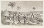 Sirboko's slaves carrying fuel and cutting rice