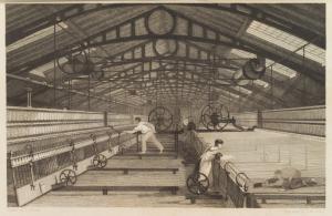 History of the cotton manufacture in Great Britain; with a notice of its early history in the East, and in all the quarters of the globe ...