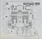 Buffalo 1901