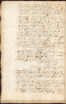 Promulgation of the City of New Amsterdam