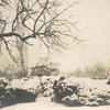Snow scene of garden from the east portico