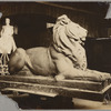Studio Photograph of Library Lion (left view)