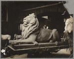 Library Lion in Edward Clark Potter's Connecticut studio (right view)