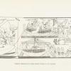 Syrian merchant ships from tomb 162 at Thebes