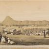 The procession of the bull beneath the mound of Nimroud