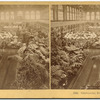 Centennial, Horticultural Hall.