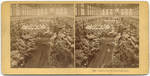 Centennial, Horticultural Hall.