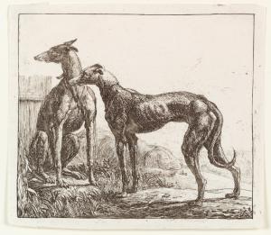 Two greyhounds, and a third dog sleeping