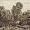 Trees, water in foreground