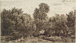 Trees, water in foreground