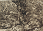 Lower part of tree trunk among rocks