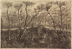 Bare trees, water in foreground, fisherman in background