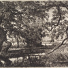 Wooden bridge across stream, gnarled tree at left