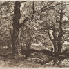 Trees, pool at right, man with stick under tree at right