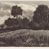 Woman walking up hill towards cottage in clump of trees, cows in field in left background