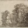 Wood at the canal