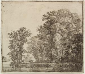 Wood at the canal