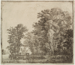 Wood at the canal