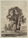 Four trees