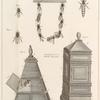 Bees and hive.