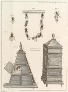 Memoires pour servir a l'histoire des insectes