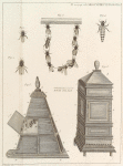 Bees and hive.