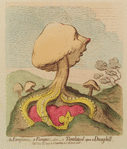 An Excrescence; – a Fungus; – alias – a Toadstool upon a Dung-hill