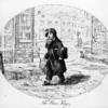 The news boy