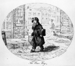 The news boy