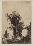 Folliage growth amid building ruins