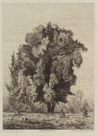 Figures beneath a large tree