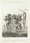 Group of Negroes as imported to be sold as slaves
