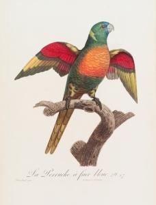 Histoire naturelle des perroquettes