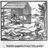 Modo che tengono i medici nel medicare gl infermi.