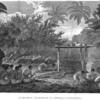 A human sacrifice in a morai in Otaheite