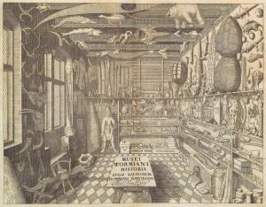 Museum Wormianum.