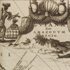 Gviana siue Amazona Regia. [detail]