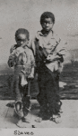 Young boys