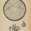 Coupe du monde où l'on voit une idée des tourbillons qui le composent dans le milieu des eaux.