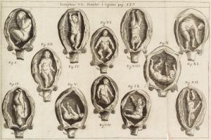 Physica curiosa, sive Mirabilia naturae et artis...