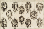 Iconismus VI. Ponatur è regione, pag. 557