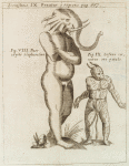 Iconismus IX. Ponatur è regione. Fig. VIII. Puer capite elephantino; Fig. IX. Infans cornutus ore patulo