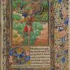 Psalm 52, The Fool.