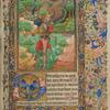 Psalm 52, The Fool.