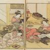 Siero Bijin awase sugata kagami = A mirror of the beauties of the Green House.