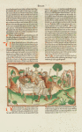 Sacrifice of the Paschal lamb