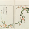 Minchô shiken